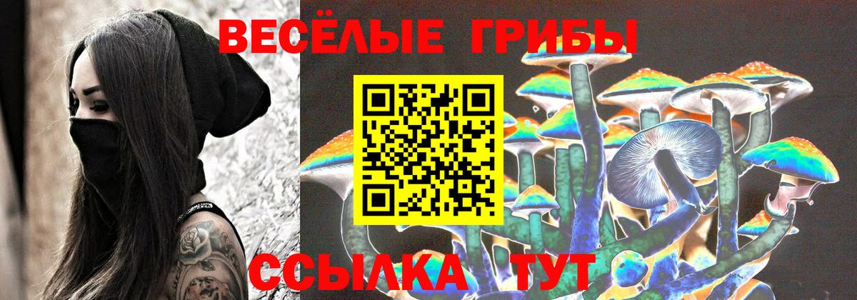 дарнет шоп  Псилоцибиновые грибы мухоморы  Вход с VPN  Дюртюли 